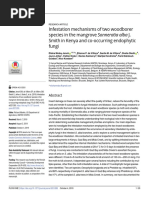 nfestation mechanisms of two woodborer species in the mangrove Sonneratia alba J. Smith in Kenya and co-occurring endophytic fungi.