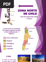 Clima y características de la zona norte | PDF | Andes | Chile