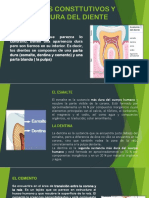 Elementos Consttutivos y Estructura Del Diente