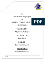 An Industrial Training Report On Ambuja Cement Limited (Kodinar)