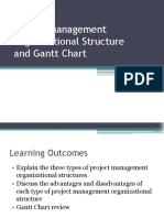 Project Management Organizational Structure and Gantt Chart