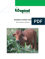 MOMBASA-GUINEA-GRASS-brochure.pdf