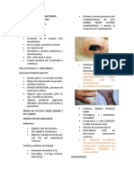 Pseudomonas y Bacterias Relacionadas