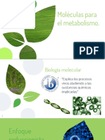 Moleculas para El Metabolismo. BIOLOGIA IB NM