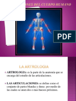 211985631-Articulaciones-Del-Cuerpo-Humano (1).pptx
