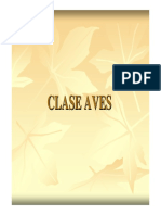 Clase_Aves.pdf