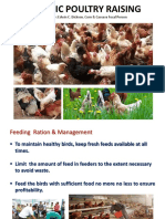 Organic Poultry Raising: Prepared By: Edwin C. Dicksen, Corn & Cassava Focal Person