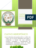 Cultivo Hidropónico