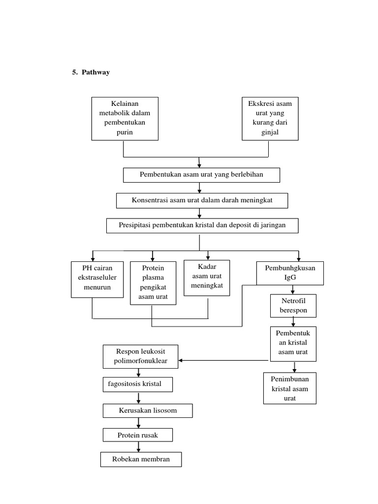 Pathway Artritis Gout Pdf