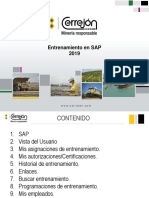 Diapositivas SAP