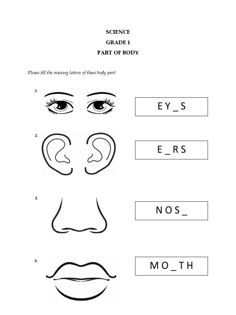 Body Parts Fill-in Activity for Kids | PDF