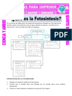 fotosintesis