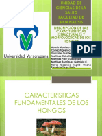 descripcion-de-las-caracteristicas-morfologicas-y-estructurales-de-los-hongos.pptx