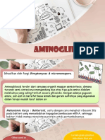 Aminoglikosida PPTT