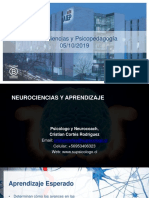 Neurociencias Del Aprendizaje Clase 5-10 PEV