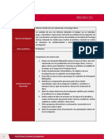 Proyecto (6).pdf