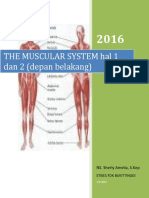 The Muscular System Hal 1 Dan 2 (Depan Belakang) : NS. Sherly Amelia, S.Kep