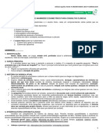 02 - Roteiro Prático de Anamnese e Exame Físico.pdf
