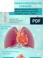 Anatomía Funcional Del Corazón - Caso