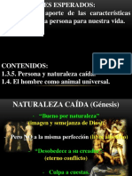 5 Naturaleza CaÃ_da y Animal Universal