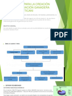 Proyecto para La Creación de La Asociación Ganadera