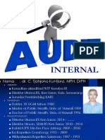 Audit Internal