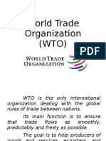 WTO Presentation