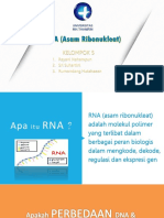 Power Point Rna