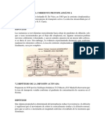 Hipotesis de La Corriente Protoplasmatica