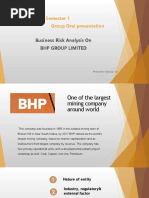 AYN 411 2019 Semester 1 Group Oral Presentation: Business Risk Analysis On BHP Group Limited