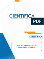 EFECTO CALORÍFICO DE LAS REACCIONES QUÍMICASppt PDF