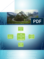 Mountain Forests Vegetation of The Himalayan Region