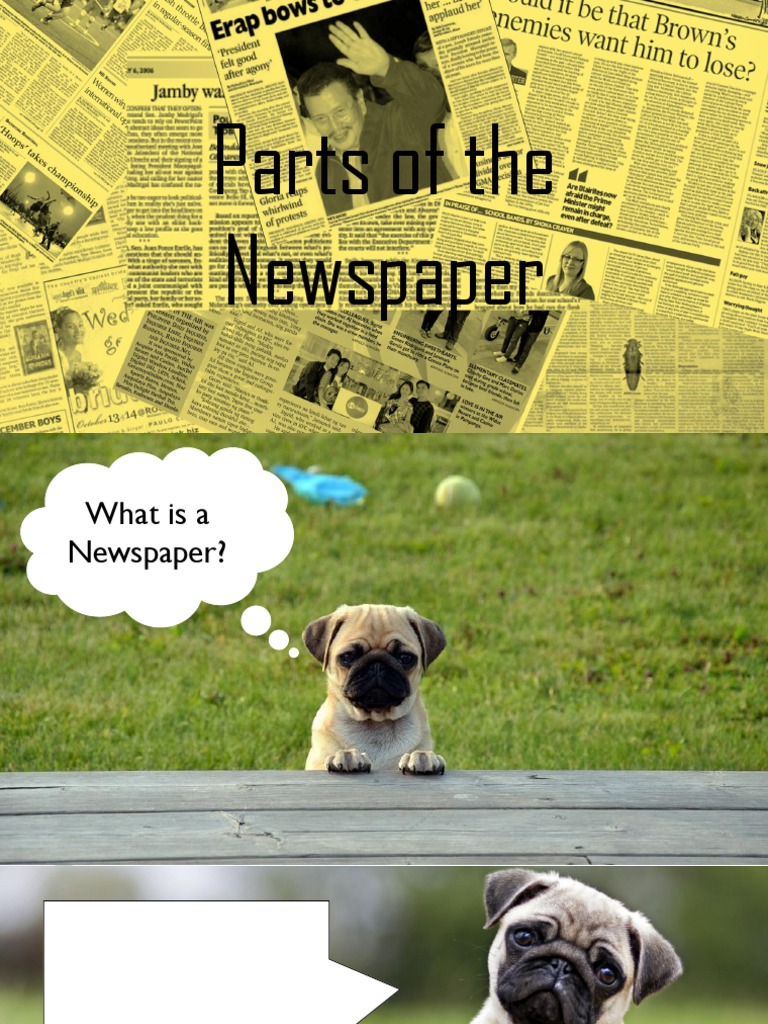 Parts of The Newspaper PDF Newspapers Typefaces