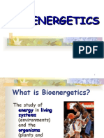Bioenergetics