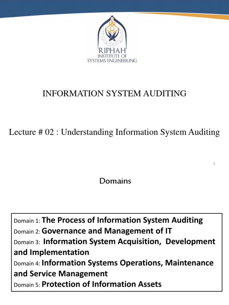Overview of Information System Auditing | PDF | Chief Financial Officer ...