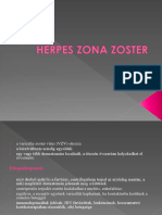 Herpes Zona Zoster
