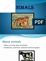 Animals