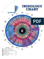 Chart of Right Iris