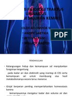 ANATOMI_FISIOLOGI_SISTEM_PERKEMIHAN_TRAK.pptx