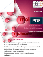 Mutation: Neeraj Kumar Maurya Environmental Biotechnology