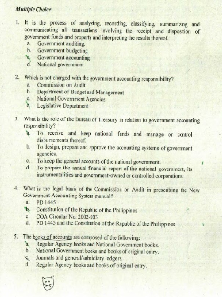 Government Accounting Punzalan PDF