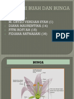 Anatomi Buah Dan Bunga