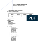 proyecto de responsabilidad social