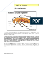 Digestivoinsectos PDF