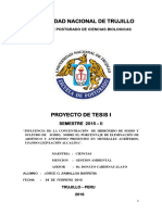 Generalidades Proyecto Corregido 1 Tesis 2015