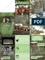 Modern Brochure Template PDF