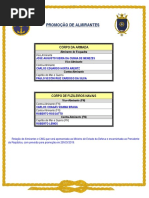 Promoção de Almirantes 2019