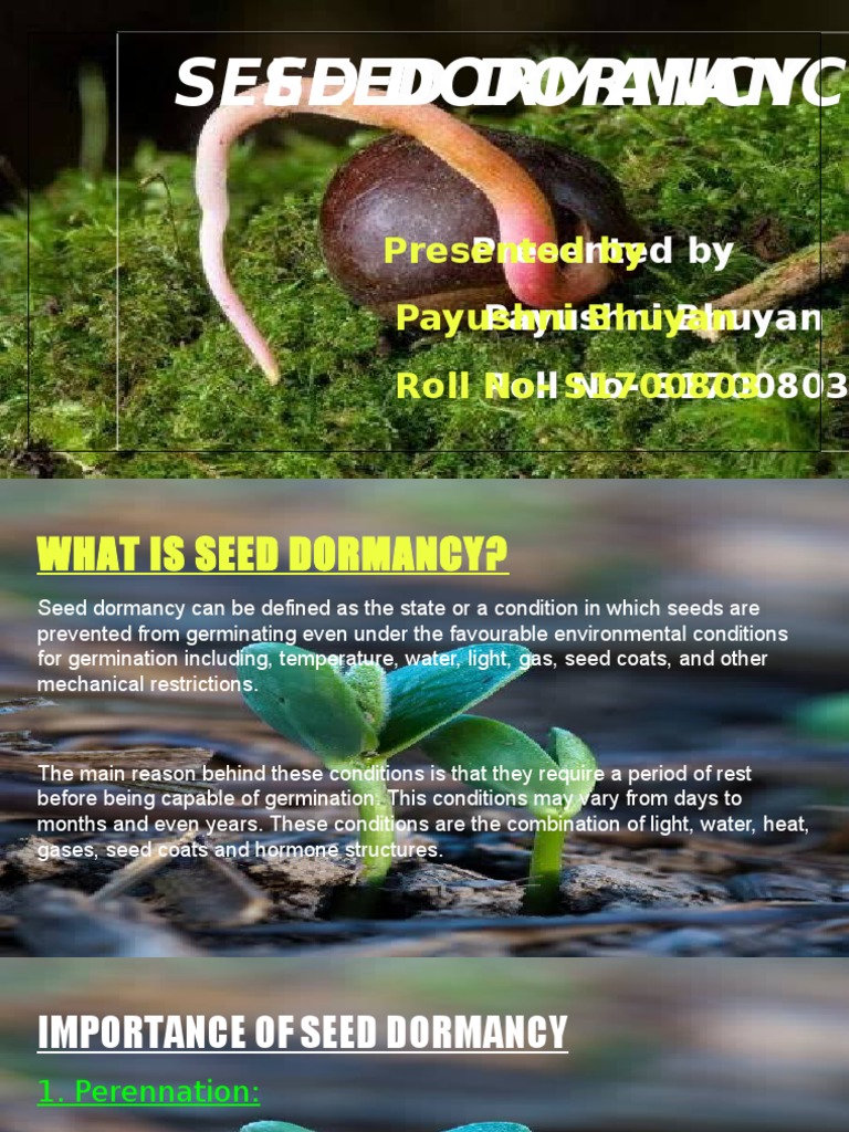 Seed Dormancy | PDF | Seed | Germination