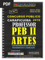 rbo_pm-carapicu_ba-2018_peb2_artes-250_conhecimentos_pedagogicos-legislacao-espec_ficos_divulgacao-031018_vmsimulados.pdf