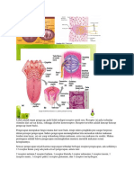 Mekanisme Pengecapan Dan Salivasi